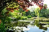 Monet's garden in Giverny. [ERIC SANDER]
