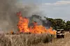 Firefighters conduct back burning on the outskirts of Dunkeld at Grampians National Park in Victoria, Australia, on Jan. 15. [EPA/YONHAP]