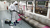 A worker hot-steams fabric seats on a subway in Seoul as part of an effort to control bedbug infestations in the country. [SEOUL METROPOLITAN GOVERNMENT]