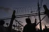 People place flowers on a fence outside Krome Detention Center in Miami, Florida, United States, on May 24 during a vigil to recognize people who have died in U.S. Immigration and Customs Enforcement custody as well as those affected by mass deportations. [AP/YONHAP]