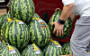 Watermelons are sold at a market in southern Seoul on July 13. [YONHAP]