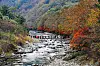 The Dutayeon Valley in Yanggu, Gangwon [YANGGU COUNTY]
