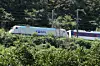 A Mugunghwa train is stopped along a railway after a train hit seven rail workers near Cheongdo, North Gyeongsang, on Aug. 19. [NEWS1]