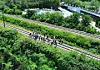 Korail, police and fire authorities inspect the scene of an accident on Aug. 19 when a Mugunghwa train hit seven railway workers. [NEWS1]