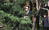 Samsung Electronics Executive Chairman Lee Jae-yong is seen attending a memorial ceremony to mark the fifth anniversary of the passing of former Samsung Chairman Lee Kun-hee at the Samsung family’s burial site in Imok-dong, Suwon, Gyeonggi on Oct. 24. [YONHAP]