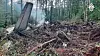This photo taken from video released by Russian Investigative Committee on July 24 shows a view of the place of the crashed Russian An-24 passenger plane of the Siberia-based Angara Airlines while carrying 49 passengers in 15 kilometers (9 miles) south of Tynda, Far Eastern Amur region of Russia. [AP/YONHAP]