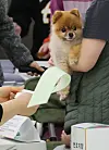 And is a bit flabbergasted at Korea’s record long ballot papers coming in at a whopping 51.7 centimeters (20.3 inches) for the 2024 general election at a district office in Busan on April 10. [SONG BONG-GEUN]