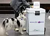 She later sniffs a ballot box at a polling station in Hannam-dong in Yongsan District, central Seoul, on April 10. This ballot box gets transferred to a local tallying station after voting ends at 6 p.m. later that day. [NEWS1]