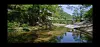 Manhyujeong, a traditional Korean pavilion in Andong, North Gyeongsang, is surrounded by a waterfall and a forest. [TVN]