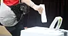This canine creature watches his owner cast an early vote on April 5, the first day of the two-day advance voting period, at a polling station at an assembly hall on Korea’s Jeju Island. [NEWS1]