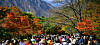 Visitors crowd the entrance to Mount Seorak National Park in Sokcho, Gangwon on Nov. 1. [YONHAP]