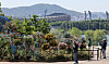 People visit the 2024 Seoul International Garden Expo and view garden displays at Ttukseom Hangang Park in Gwangjin District, eastern Seoul, on May 16, 2024. [NEWS1]