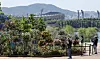 People visit the 2024 Seoul International Garden Expo and view garden displays at Ttukseom Hangang Park in Gwangjin District, eastern Seoul, on May 16, 2024. [NEWS1]
