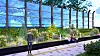 A garden formed along Dapsipri-ro in Gwangjin District, eastern Seoul, in a rendered image provided by the Seoul city government on Thursday. [SEOUL METROPOLITAN GOVERNMENT]