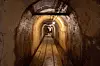 The former gold mines on Sado Island off Niigata, northwest of Tokyo, is shown in this picture taken by Prof. Seo Kyoung-duk of Sungshin Women's University [SCREEN CAPTURE]