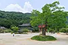 A visitor takes in the view at Borimsa Temple. [JANGHEUNG COUNTY OFFICE]