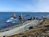 Seashore of the South Pole where King Sejong Station is located shows ice were melted due to temperature rises up to 18 and 20 degrees Celsius (64.4 and 68 degrees Fahrenheit) in 2021. [KOREA POLAR RESEARCH INSTITUTE]