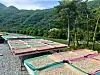Nuruk or traditional Korean fermentation starter, outside Nongam Jongtaek's distillery [LEE JIAN]