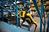 Spot four-legged robot dog from Boston Dynamics [BOSTON DYNAMICS]