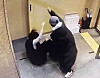 A 16-year-old strikes People Power Party Rep. Bae Hyun-jin on the first floor of a building in Gangnam District, southern Seoul, on Jan. 25, 2024. [NEWS1]