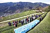 Students pose for a photo at the Jeonggeum Tea Field on Dec. 3. [PARK SANG-MOON]