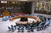 A general view shows a Security Council meeting at the United Nations headquarters, on March 14. [AP]