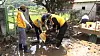 Volunteer workers clear a farm on Saturday in Nonsan, South Chungcheong after record-breaking heavy rain damaged the area last week. [YONHAP]