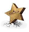 A Lone Star Funds illustration [JOONGANG ILBO]