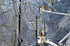 A lineman works to restore power in Oxford, Miss. on Jan. 26, 2026, following a weekend ice storm. [AP/YONHAP]