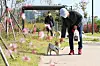 A dog owner walks her pet around a park in Seoul. [NEWS1]