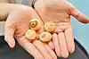 Korea's iconic Kancho cookies go viral with 40th anniversary