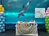 Dolphin Go Jang-su [JANGSAENGPO WHALE CULTURE ZONE]
