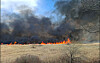 A field of reeds is set on fire near Susan Bridge in Changwon, South Gyeongsang, on Feb. 2, 2026. [CHANGWON FIRE HEADQUARTERS]