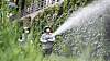 Quarantine workers conduct mosquito lava extermination in Suwon, Gyeonggi on Sept. 25. [NEWS1]