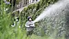 Quarantine workers conduct mosquito lava extermination in Suwon, Gyeonggi on Sept. 25. [NEWS1]