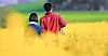 The scene where Ae-sun and Gwan-sik walk together holding hands was shot in Hagwon Farm in Gochang County, North Jeolla. [NETFLIX]