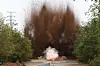 A section of road north of the border along the Donghae and Gyeongui line on the eastern coast is destroyed by the North Korean military on Oct. 15. [RODONG SINMUN]