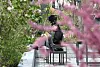 A citizen seen reading a book at the Gwanghwamun Square in central Seoul on April 16 [YONHAP]