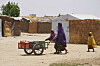 A woman and young girl displaced from Boko Haram attacks push a cart in Dikwa, Borno province, north east Nigeria, April 29. [AP/YONHAP]