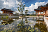 Sejong National Arboretum in Sejong City spans 650,000 square meters (161 acres) and offers a variety of worldwide flora through different themed zones. [JOONGANG]