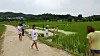 Children on a field trip to Hongseong County's rice fields [JOONGANG ILBO]