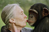 Jane Goodall kisses Tess, a female chimpanzee, at the Sweetwaters Chimpanzee Sanctuary near Nanyuki, north of Nairobi, on Dec. 6, 1997. [AP/YONHAP]