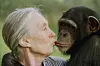 Jane Goodall kisses Tess, a female chimpanzee, at the Sweetwaters Chimpanzee Sanctuary near Nanyuki, north of Nairobi, on Dec. 6, 1997. [AP/YONHAP]