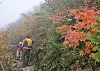 Hikers pass by fall leaves on Mount Seorak in Gangwon on Sept. 29. [YONHAP]