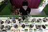 A worker prepares cannabis for a customer at cannabis shop Bangkok, Thailand, on July 18, 2024. [AP/YONHAP]