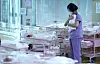 Gov't to rate postpartum care centers starting next year in push for ...