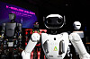 Humanoid robots are on display at the launch ceremony of the K-Humanoid Alliance, an association of academia, research institutions and private firms for coordinated robotics development, at the Plaza Hotel in Jung District, central Seoul, on April 10. [YONHAP]