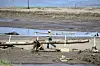 A man crosses the Ruidoso Downs Racetrack which was partially destroyed after the flood in Ruidoso, New Mexico on July 9. [AP/YONHAP]