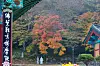 Autumn scenery at Dogapsa in South Jeolla [CULTURAL CORPS OF KOREAN BUDDHISM]