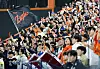 Fans watch the KBO game between the Hanwha Eagles and Samsung Lions at Daejeon Hanwha Life Ballpark on May 7. [YONHAP]